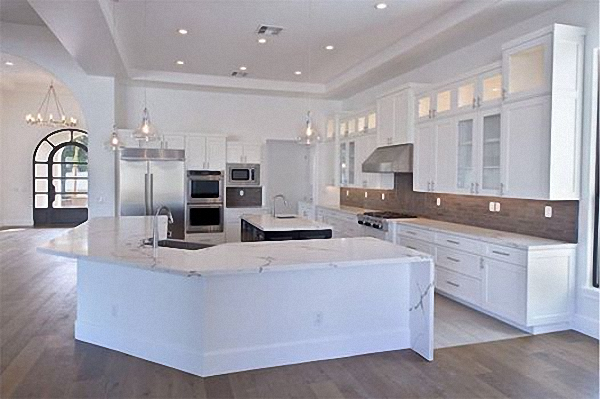 金丝鱼肚白厨房应用